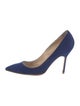 Manolo Blahnik Suede Pumps