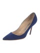 Manolo Blahnik Suede Pumps