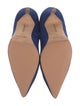Manolo Blahnik Suede Pumps