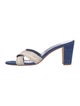 Manolo Blahnik Suede Colorblock Pattern Slides