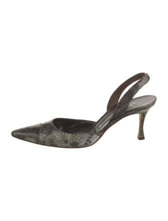 Manolo Blahnik Snakeskin Animal Print Slingback Pumps