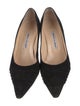 Manolo Blahnik Suede Pumps
