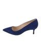 Manolo Blahnik Suede Pumps