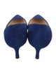 Manolo Blahnik Suede Pumps