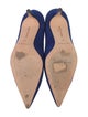 Manolo Blahnik Suede Pumps
