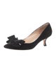 Manolo Blahnik Suede Pumps