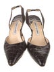Manolo Blahnik Embossed Leather Animal Print Slingback Pumps