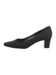 Manolo Blahnik Suede Pumps