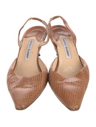 Manolo Blahnik Snakeskin Slingback Pumps