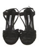 Manolo Blahnik Suede T-Strap Sandals