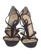Manolo Blahnik Suede T-Strap Sandals
