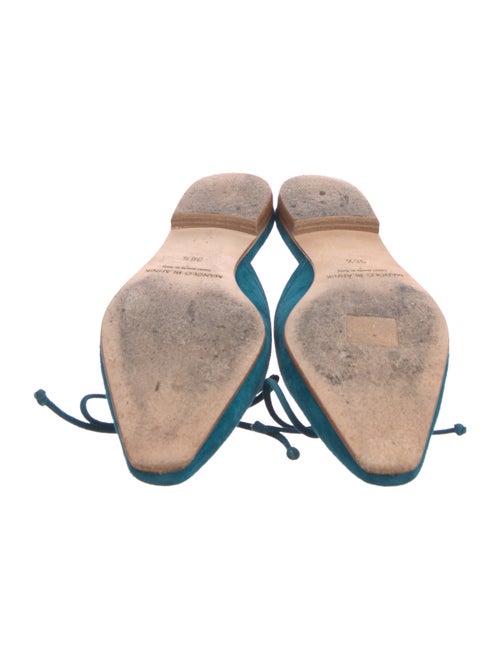 Manolo Blahnik Suede Mules