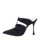 Manolo Blahnik Suede Mules