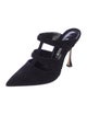 Manolo Blahnik Suede Mules