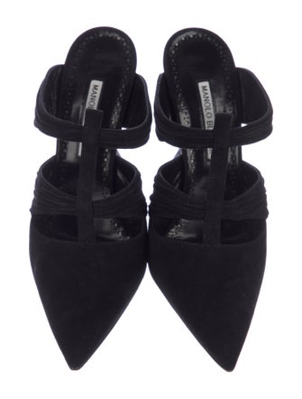 Manolo Blahnik Suede Mules