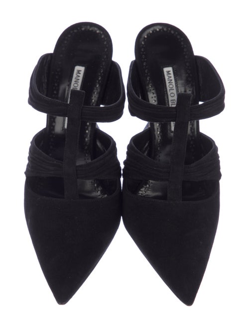 Manolo Blahnik Suede Mules