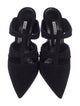 Manolo Blahnik Suede Mules
