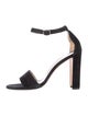 Manolo Blahnik Suede Sandals