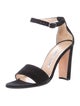 Manolo Blahnik Suede Sandals