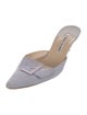 Manolo Blahnik Suede Mules