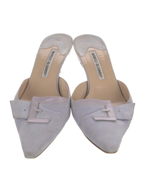 Manolo Blahnik Suede Mules