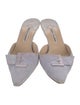 Manolo Blahnik Suede Mules