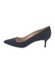 Manolo Blahnik Suede Pumps