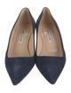 Manolo Blahnik Suede Pumps