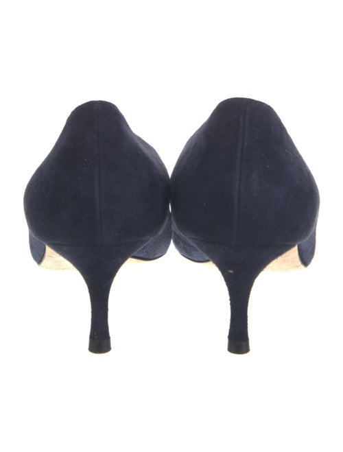 Manolo Blahnik Suede Pumps