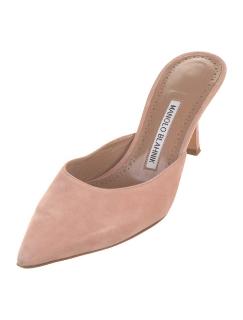 Manolo Blahnik Suede Mules