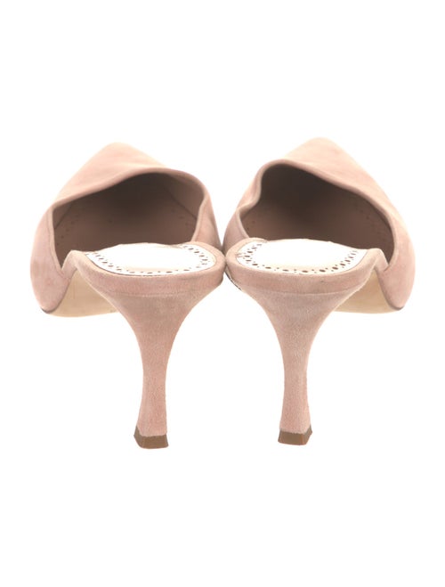 Manolo Blahnik Suede Mules