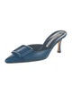 Manolo Blahnik Suede Mules