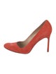 Manolo Blahnik Suede Pumps