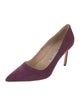 Manolo Blahnik Suede Pumps