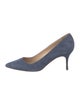 Manolo Blahnik Suede Pumps