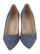 Manolo Blahnik Suede Pumps