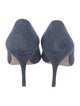 Manolo Blahnik Suede Pumps
