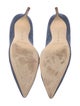 Manolo Blahnik Suede Pumps