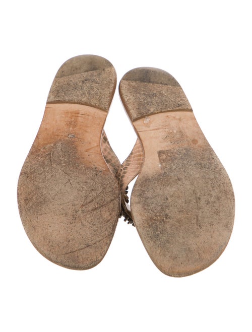 Manolo Blahnik Snakeskin Animal Print Slides