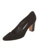 Manolo Blahnik Suede Pumps
