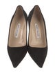 Manolo Blahnik Suede Pumps