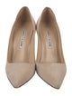 Manolo Blahnik Suede Pumps