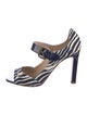 Manolo Blahnik Printed D'Orsay Pumps