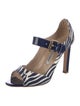 Manolo Blahnik Printed D'Orsay Pumps