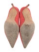 Manolo Blahnik Suede Pumps