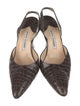 Manolo Blahnik Crocodile Animal Print Slingback Pumps