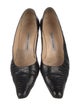 Manolo Blahnik Crocodile Pumps