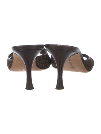 Manolo Blahnik Leather Printed Slides