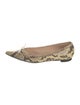 Manolo Blahnik Python Animal Print Ballet Flats