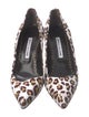 Manolo Blahnik Animal Print Pumps